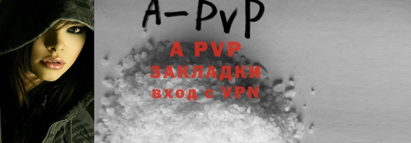МДПВ Карпинск