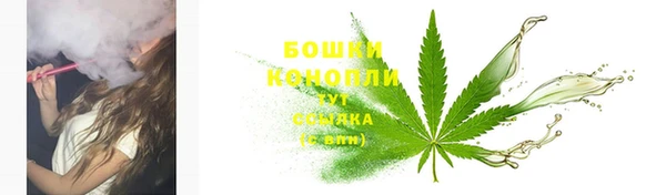 МДПВ Карпинск