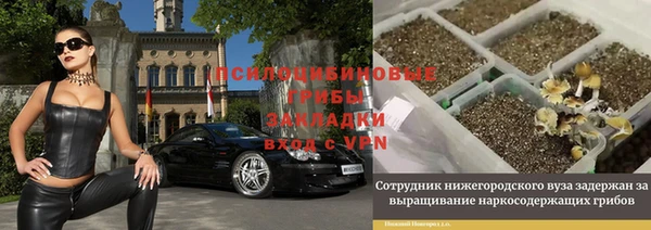 амфетамин Каменногорск