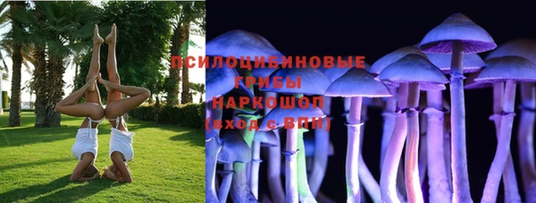 амфетамин Каменногорск